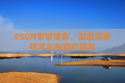 CSDN专家博客，深度洞察技术与创新的源泉